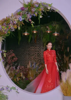 佟丽娅元宵节红色礼服性感写真_3