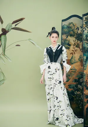 陈钰琪古典优雅写真图片