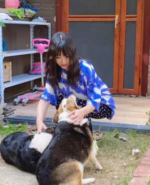 柳岩清爽养眼私服图片