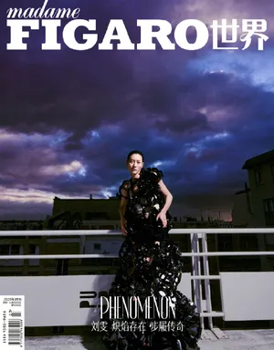 刘雯魅力杂志封面写真图片