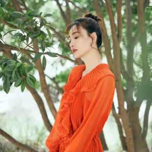 王丽坤知性优雅写真图片
