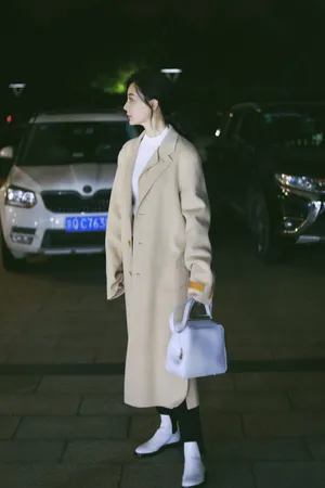 陈数优雅时尚街拍图片