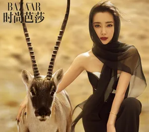 李冰冰深色红唇性感写真图片_7