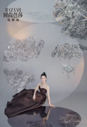 赵丽颖复古国风大片写真图片_7