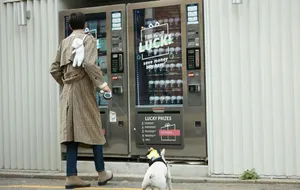 林一酷帅街拍写真图片_4