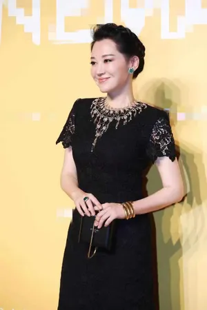 许晴黑蕾丝裙性感活动照图片_6