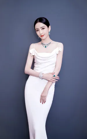 佟丽娅优雅性感活动写真图片