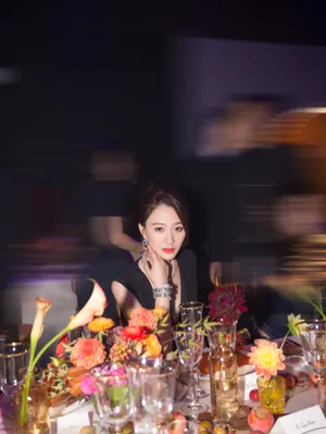 李小冉深V蛋糕裙性感图片_3