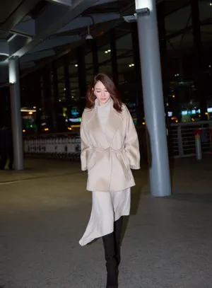 李小冉优雅自信夜景街拍图片