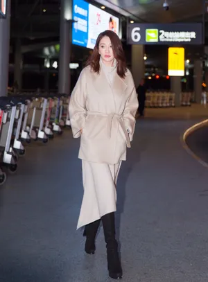 李小冉优雅自信夜景街拍图片