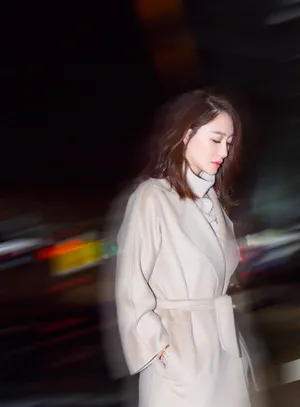 李小冉优雅自信夜景街拍图片_3
