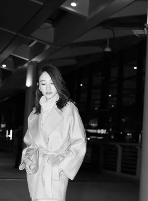 李小冉优雅自信夜景街拍图片_5
