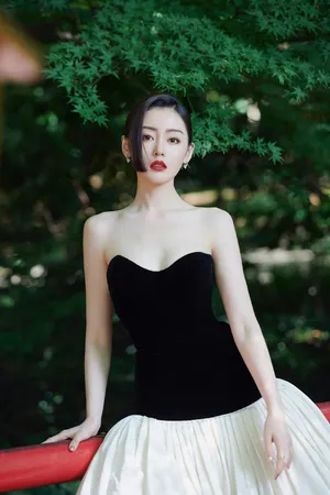 张天爱东京电影节性感写真图片
