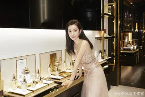 李冰冰裸色纱质长裙性感图片_4