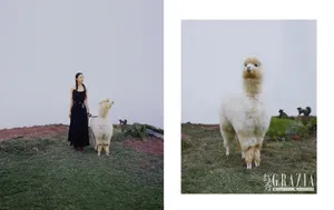 周雨彤酷美杂志封面写真图片_8