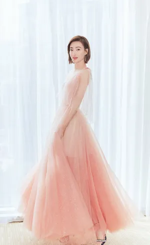 王丽坤粉色纱裙仙气写真图片