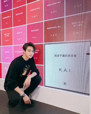 许凯圣甲虫毛衣帅气活动照图片_5