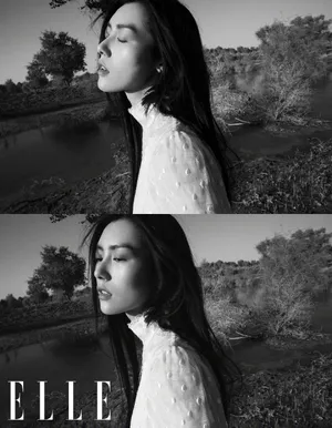 刘雯杂志封面大片写真图片