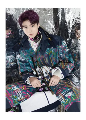 TFBOYS王俊凯派克大衣帅气图片_2