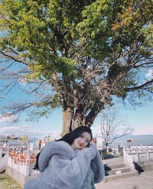 景甜温暖甜美户外写真图片