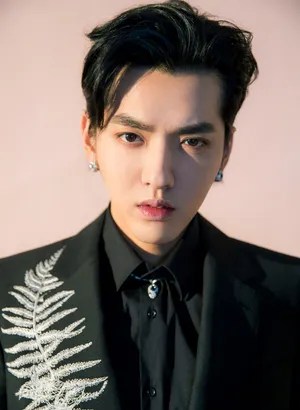 吴亦凡刺绣西装绅士写真图片_2