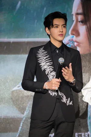 吴亦凡刺绣西装绅士写真图片_3