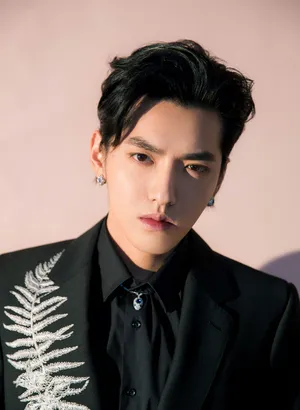 吴亦凡刺绣西装绅士写真图片_8