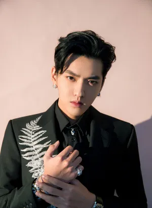 吴亦凡刺绣西装绅士写真图片_11