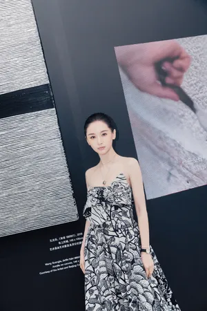王子文迪奥活动照性感图片_9