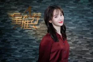 金晨优雅干练写真图片