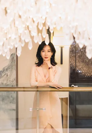 陈数礼服裙温婉动人写真图片