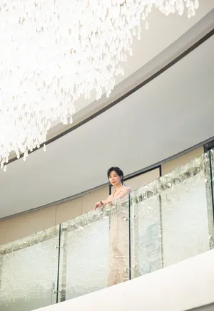 陈数礼服裙温婉动人写真图片_4