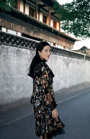 曾黎优雅魅力写真图片_4