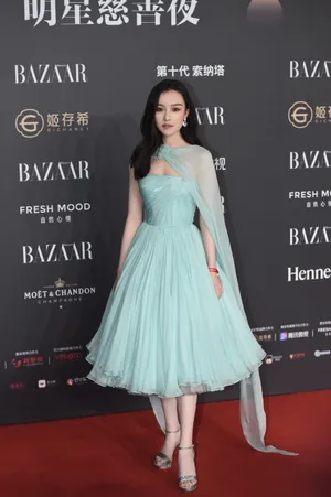 倪妮芭莎明星慈善夜性感迷人写真_11