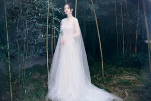 刘诗诗明星慈善夜优雅写真图片_1