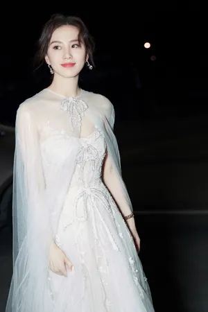 刘诗诗明星慈善夜优雅写真图片_6