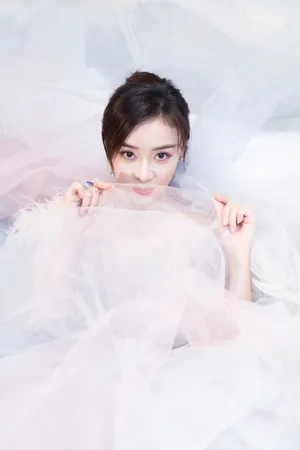 袁姗姗芭莎明星慈善夜性感图片_2