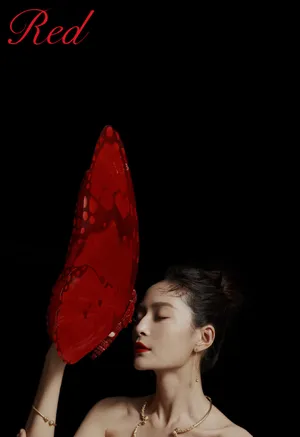 王媛可时尚优雅写真图片_6