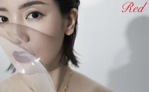 李晟优雅魅力写真图片_2