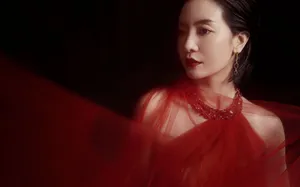 李晟优雅魅力写真图片_5