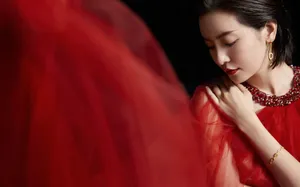 李晟优雅魅力写真图片_6