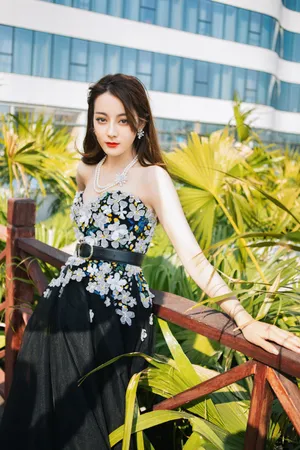 迪丽热巴黑纱抹胸礼裙性感图片_6