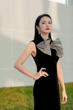 姚晨优雅高贵性感写真图片_4