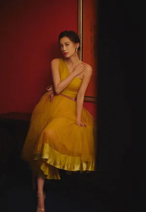 黄圣依抹胸裙优雅写真图片_3