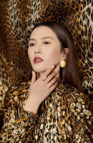 谭维维金色披风裙性感写真图片_1