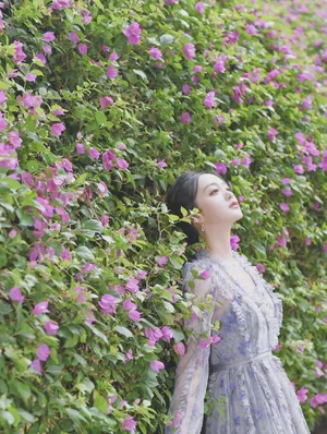 何泓姗蝴蝶裙优雅写真图片_5