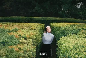 张雪迎摩登时尚写真图片_10