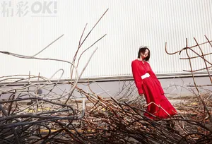 张雪迎工业风大片写真图片_4