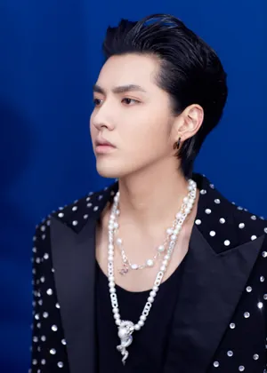 吴亦凡复古慵懒气质写真图片_7