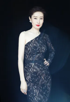刘敏涛温婉知性写真图片
